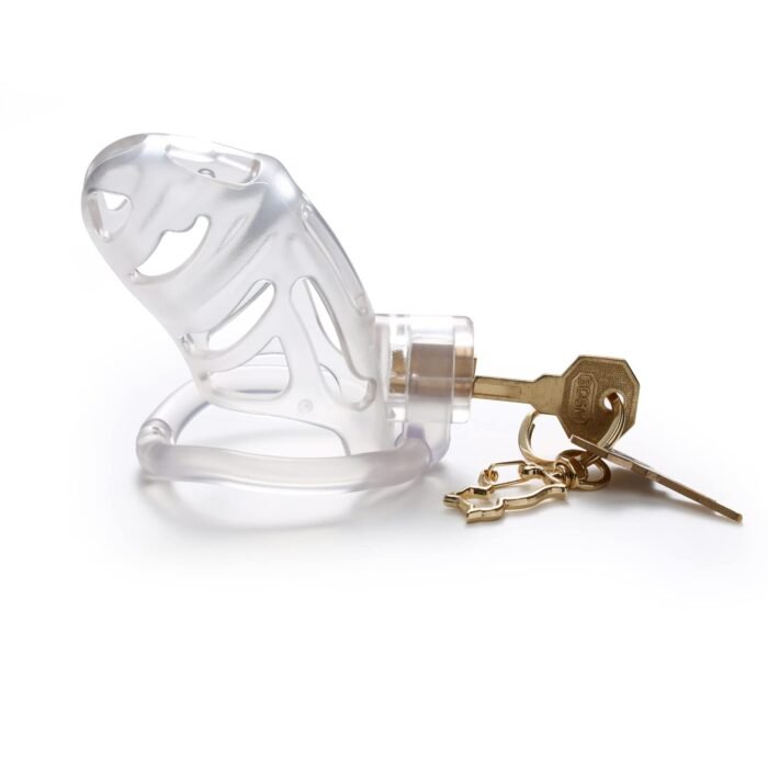 lovesvibe leichtgewichtiger peniskäfig mit 3 cockringen & unsichtbarem schloss transparent 2