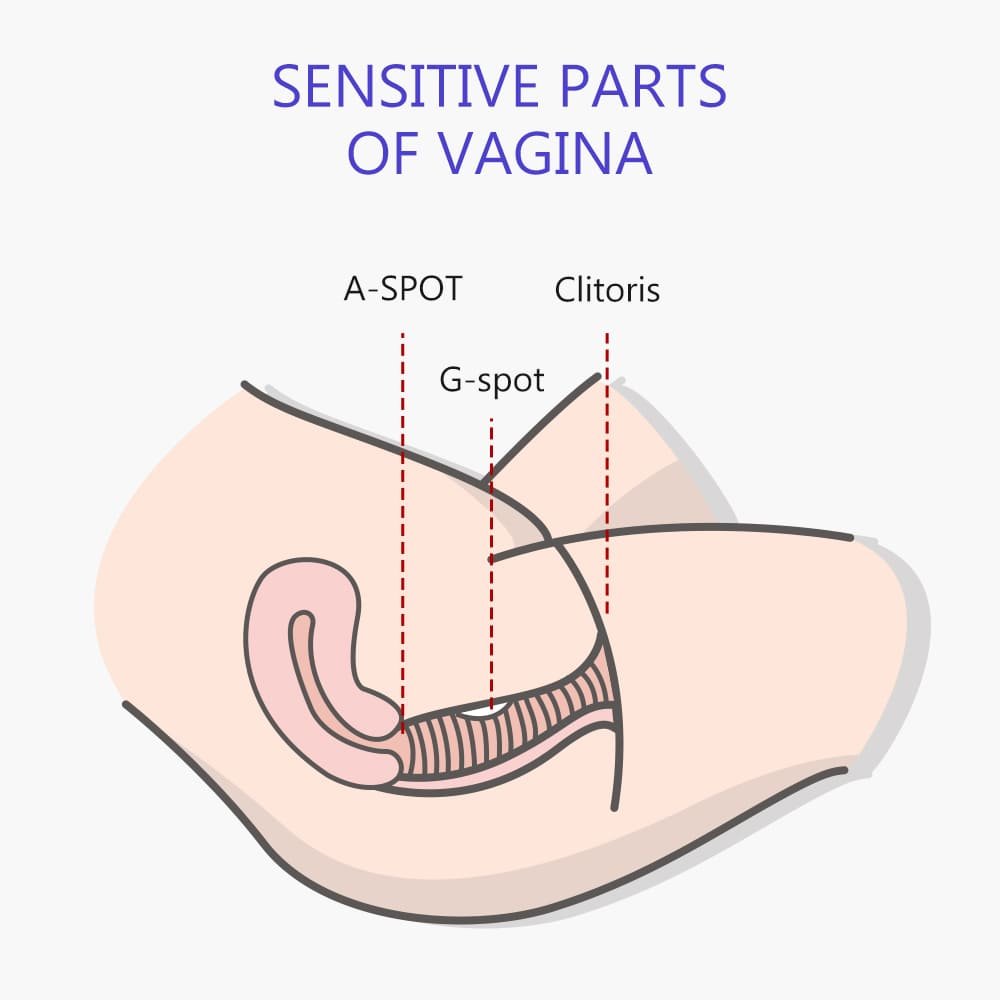 DRYWELL V20 Stoßender Rabbit-Vibrator mit 10 Vibrationsmodi Sex Spielzeug für die Frauen