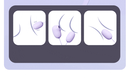 Lovesvibe Sauger Vibrator für Frauen Klitoris Stimulator, 2 in 1 Sex Spielzeug für die Frauen Paare mit Vibro Ei