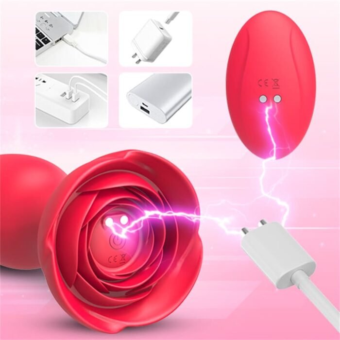 Rose Anal Plug mit 10 Vibrationsmodi Silikon Buttplug Sex Spielzeug für die Männer Frau Paare mit Fernbedienung