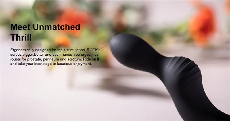 S-HANDE SHD-S319 Analvibratoren für Mann mit 9 Vibrationsmodi Dual Prostata Stimulation Buttplug Sexspielzeugs