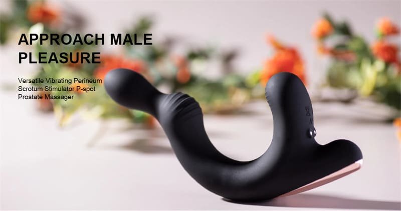 S-HANDE SHD-S319 Analvibratoren für Mann mit 9 Vibrationsmodi Dual Prostata Stimulation Buttplug Sexspielzeugs