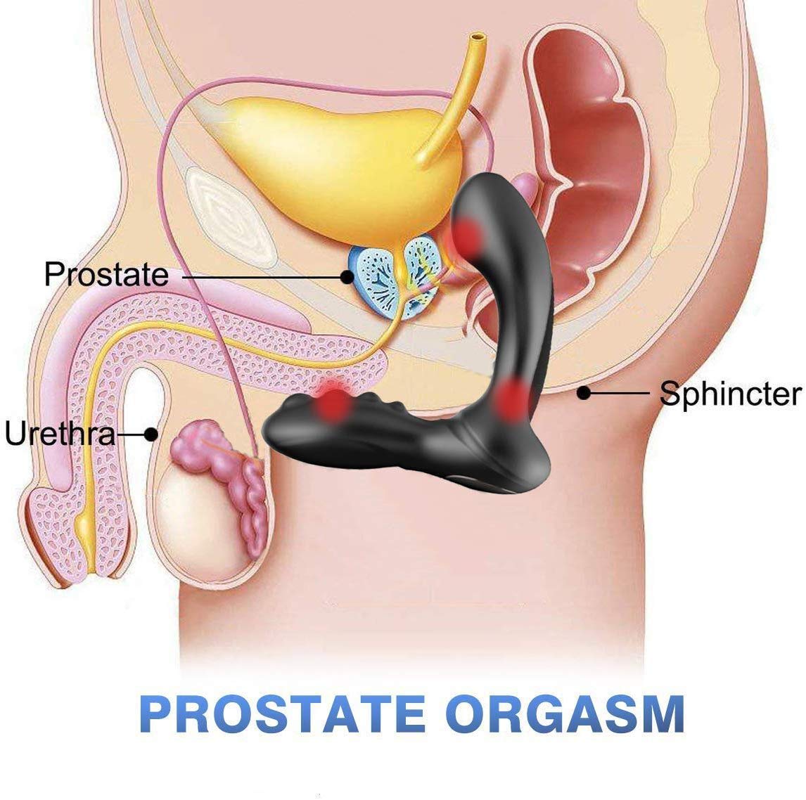 Electric Shock Gladiator Vibrating Prostate Massager mit 8 Vibrations & FernbedienungAnalvibratoren für Mann